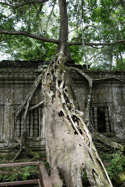 P1020761